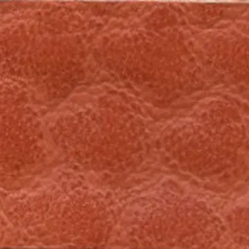 69