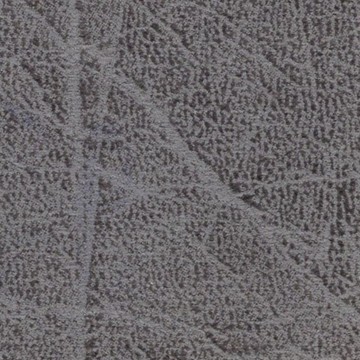73050-02