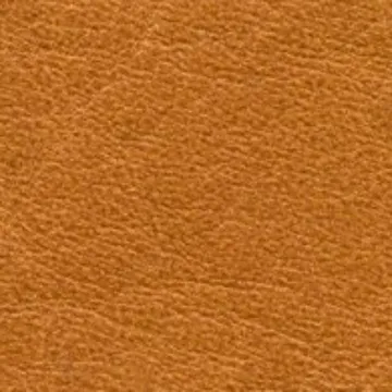 76