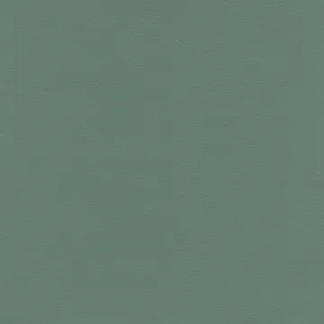 77017-20