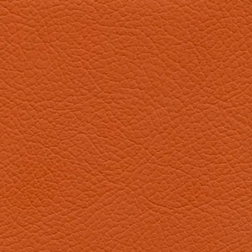 77025-19