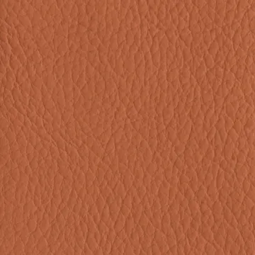 77027-19