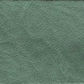 78015-19