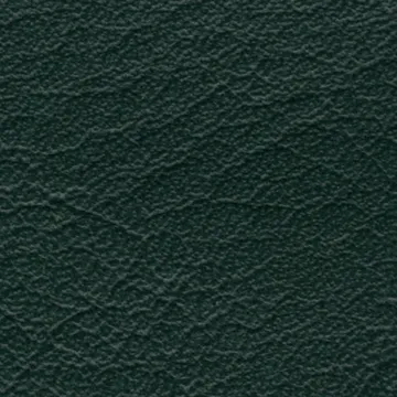 78050-19
