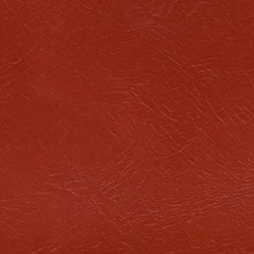 79