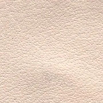 79