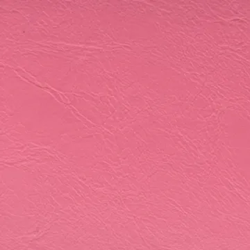 81