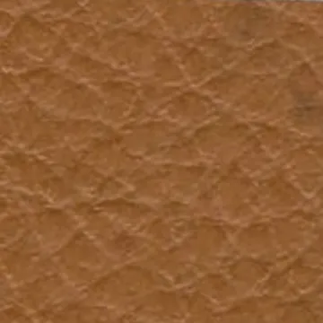 81