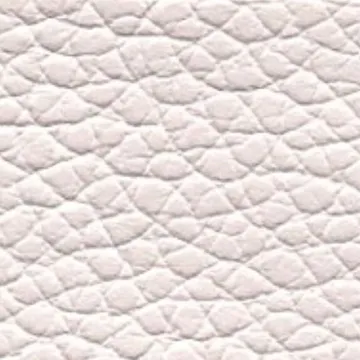 81