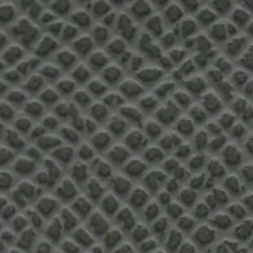 81