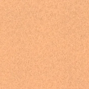 E8509