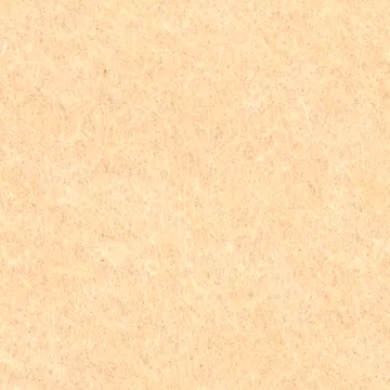 ECOP-10