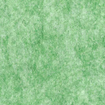 ECOP-15