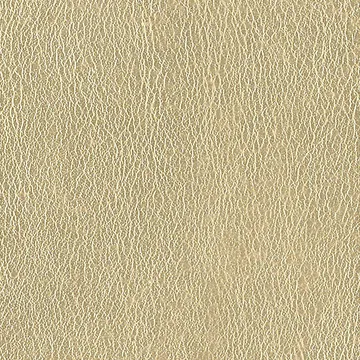 P70001-04