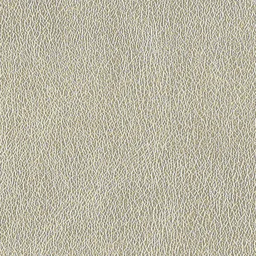 P70001-08