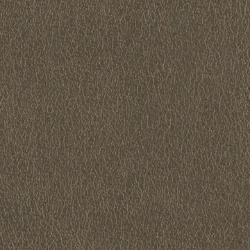 P70001-09