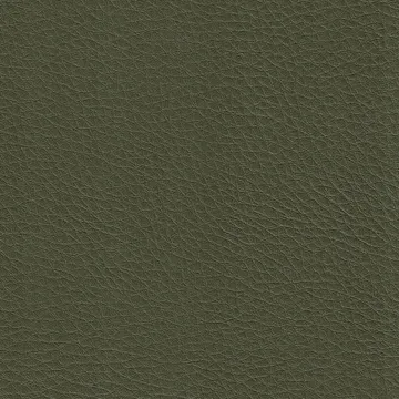 P70045-25