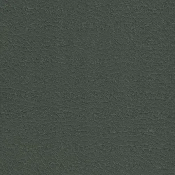 P70045-36
