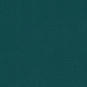 P70045-46