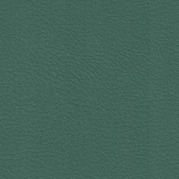P70045-58