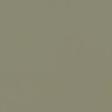 P70058-15
