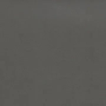 P70060-12
