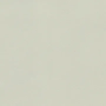 P70060-21