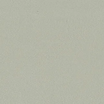 P70073-11