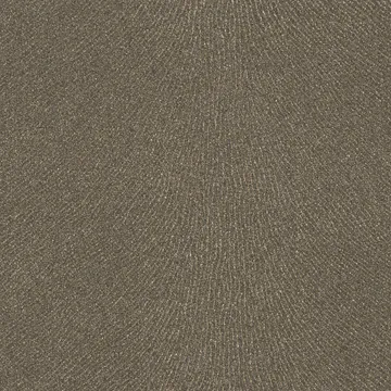 P70080-07