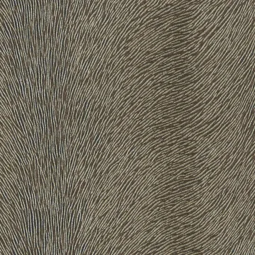 P70130-03