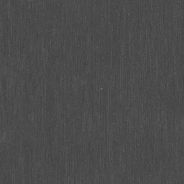 P73004