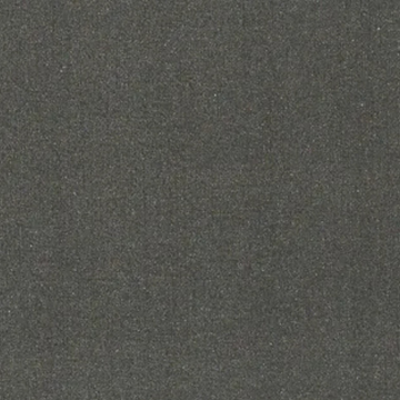 P73005
