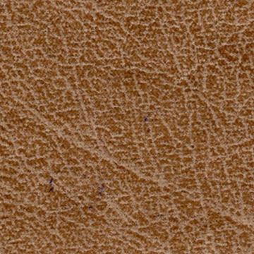 P73050