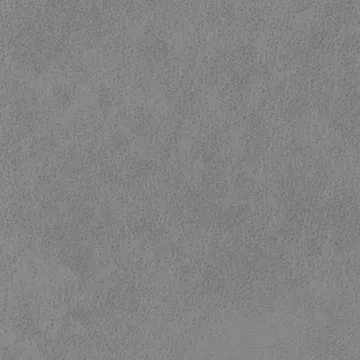 P74004-01