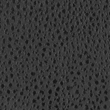 P75003-01