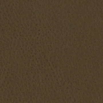P75005-03
