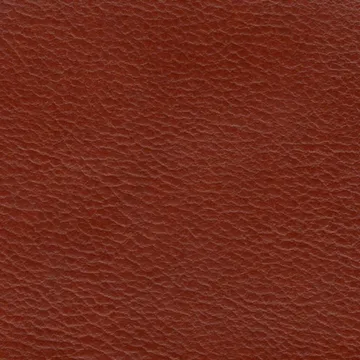 P75005-04