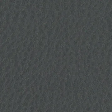 P75005-06