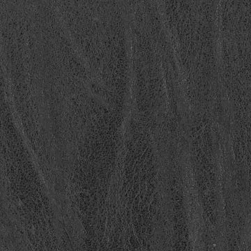P75009-01