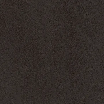 P75009-07