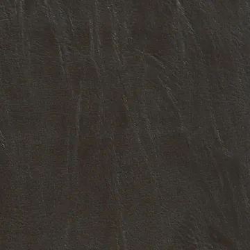 P75009-09