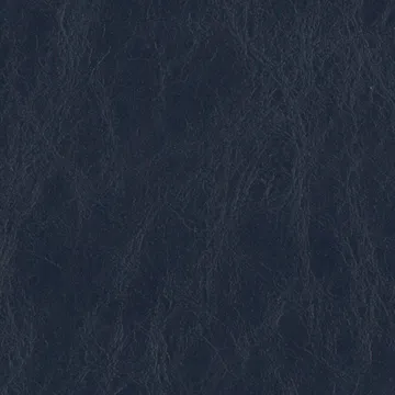P75017-06