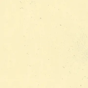 P75017-14
