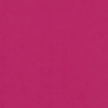P75019-19