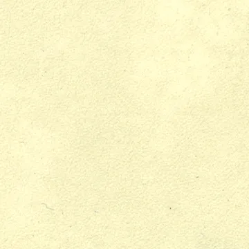 P75020-03