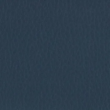 P75020-29