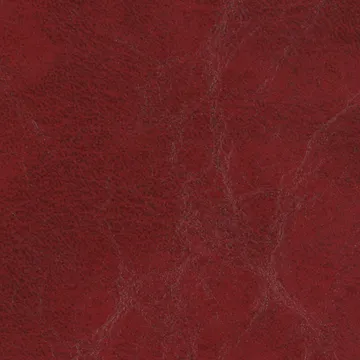 P75022-11