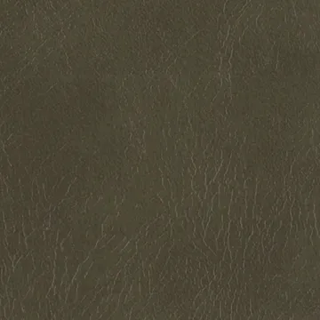 P75032-17