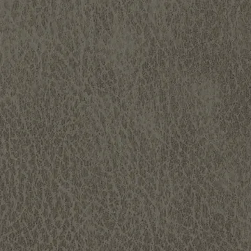 P75045-09