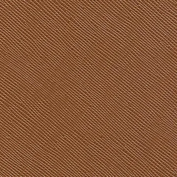 P75301-04